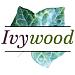Ivywood